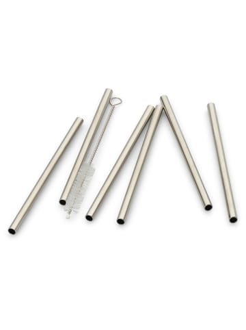 Echtwerk 6-delige set: rietjes zilverkleurig - (H)12 cm