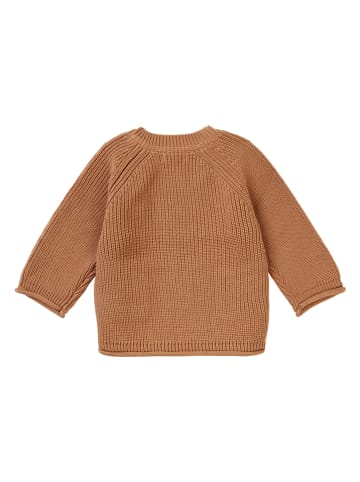Noppies Pullover "Brewton" in Hellbraun