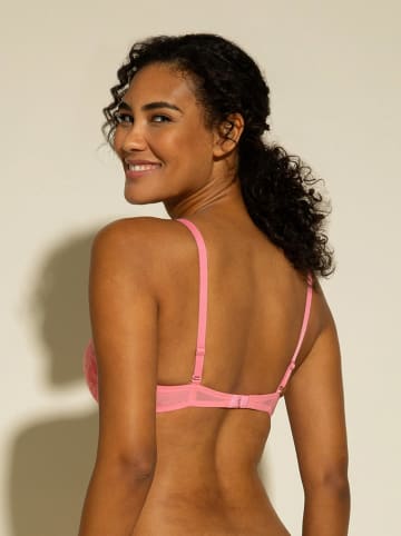 cosabella Push-Up-BH in Rosa