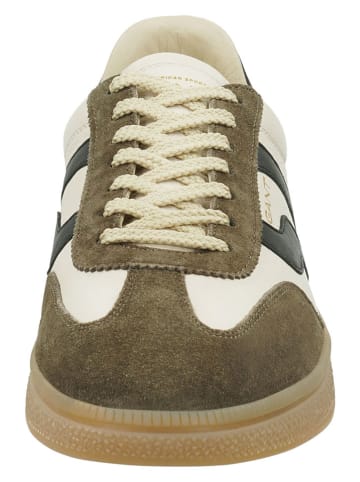 GANT Footwear Leder-Sneakers in Braun/ Beige