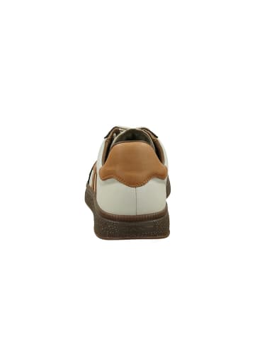 GANT Footwear Leren sneakers bruin/lichtbruin/beige