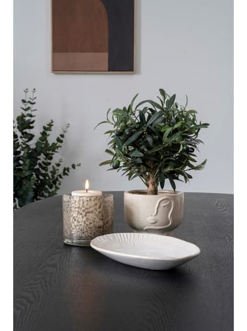 House Nordic Blumentopf in Beige - (H)12 x Ø 15 cm