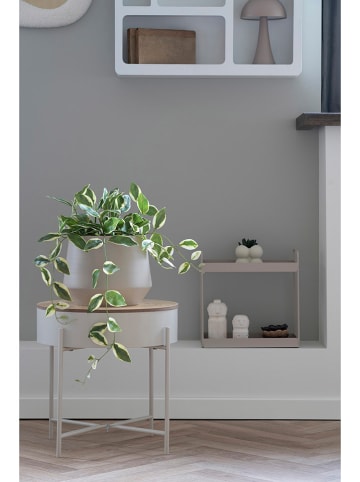 House Nordic Sztuczna roślina "Hoya Carnosa" w kolorze zielonym - wys. 33 cm