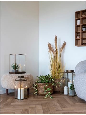 House Nordic Kunstpflanze "Hoya Carnosa" in Grün - (H)33 cm