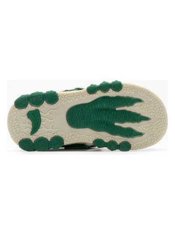 Bull Boys Halbsandalen "T-Rex" in Grün/ Creme