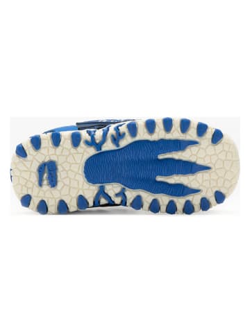 Bull Boys Halbsandalen "Pterodattilo" in Blau