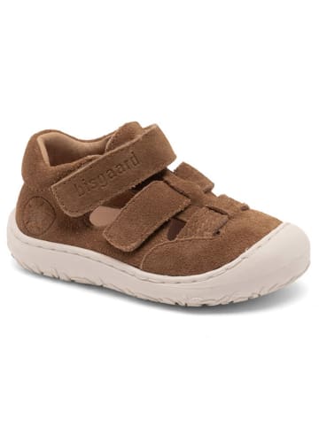 bisgaard Leder-Lauflernschuhe in Braun