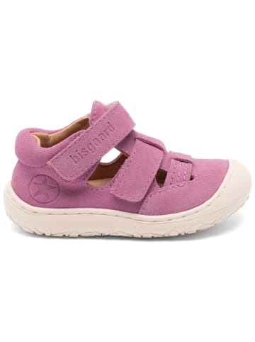 bisgaard Leder-Lauflernschuhe in Lila