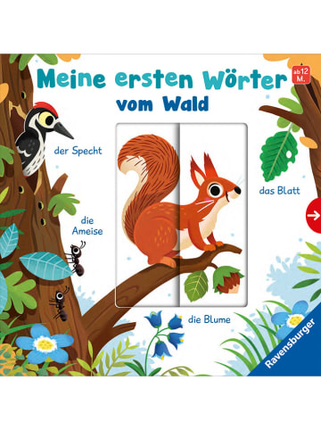 Ravensburger Kinderbuch "Meine ersten Wörter vom Wald"