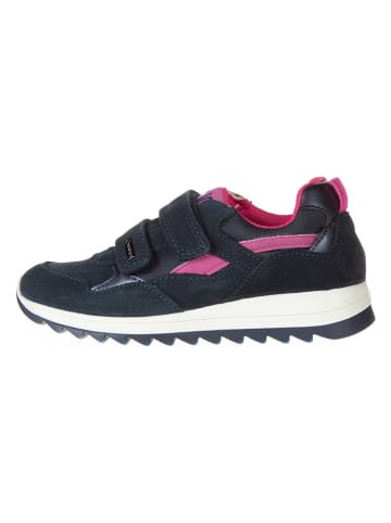Primigi Leder-Sneakers "Trilly" in Dunkelblau/ Pink