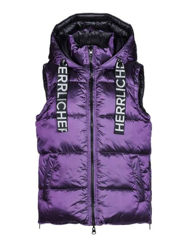 Herrlicher Bodywarmer pruimkleurig