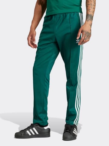 adidas Trainingshose in Grün