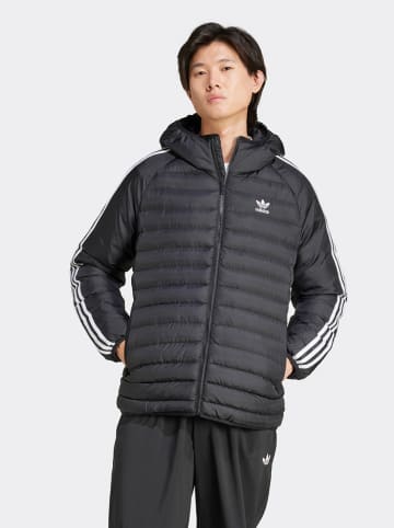 adidas Steppjacke in Schwarz