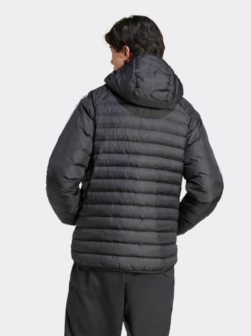 adidas Steppjacke in Schwarz