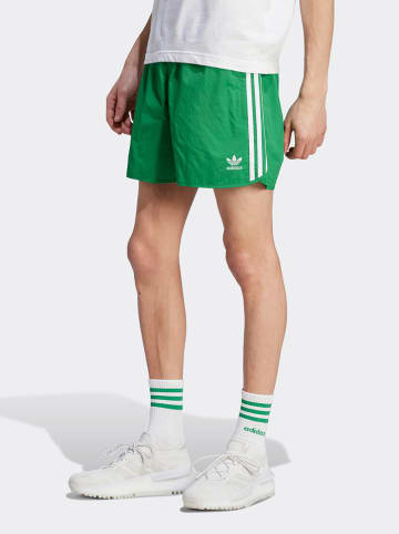 adidas Shorts in Grün