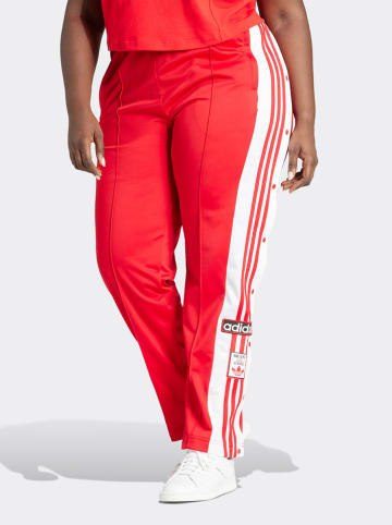 adidas Trainingsbroek rood