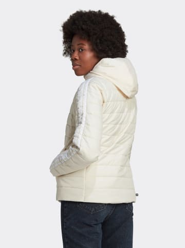 adidas Winterjacke in Creme