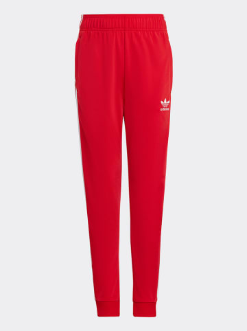 adidas Trainingshose in Rot