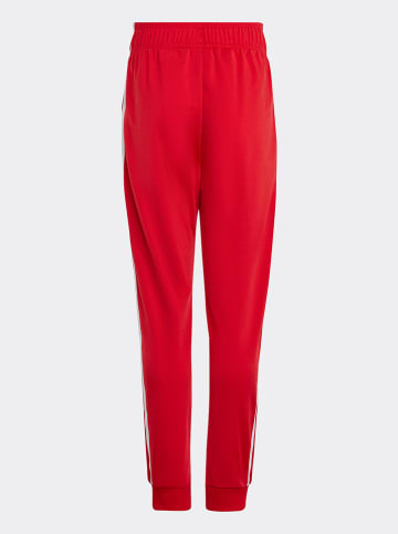 adidas Trainingsbroek rood