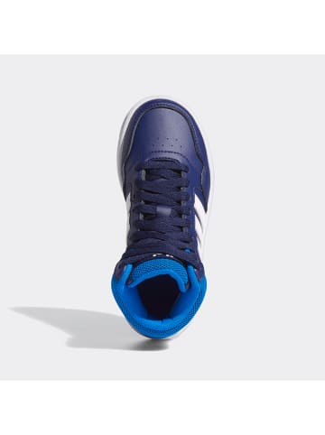 adidas Sneakers "Hoops 3.0" donkerblauw