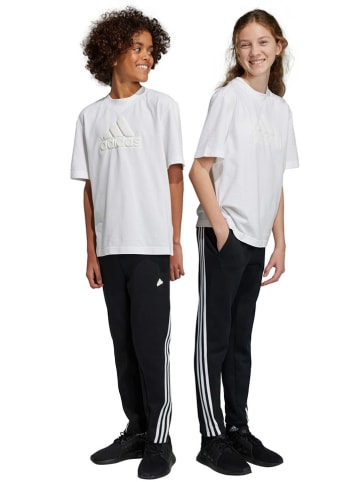 adidas Sweathose in Schwarz