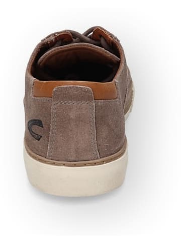 Camel Active Sneakers "Bayland" bruin