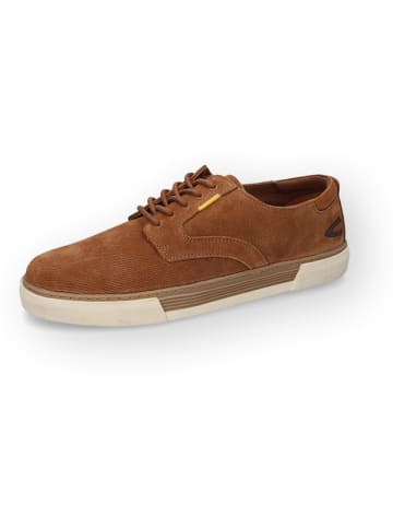 Camel Active Sneakers "Bayland" lichtbruin