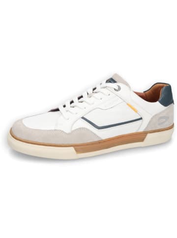 Camel Active Leder-Sneakers "Bayland" in Weiß/ Dunkelblau