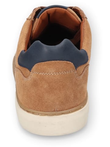 Camel Active Leren sneakers "Bayland" lichtbruin/donkerblauw