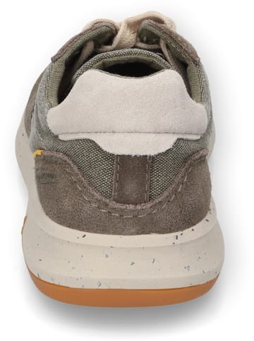 Camel Active Sneakers "Harvest" in Khaki