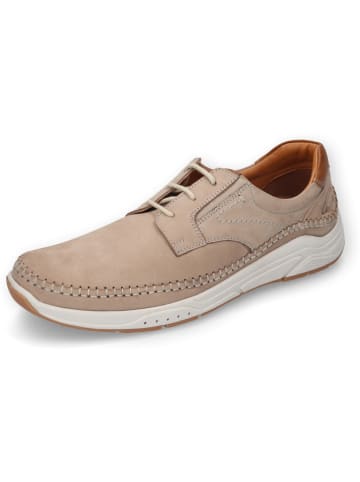 Camel Active Leder-Sneakers "Fog" in Taupe