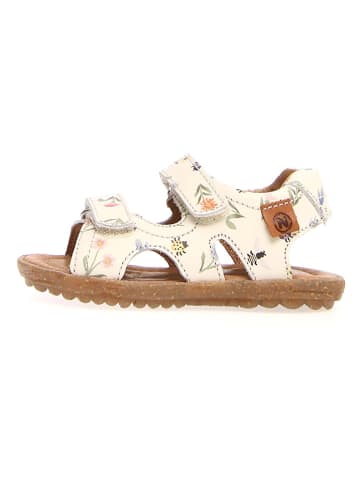 Naturino Leder-Sandalen "Sky" in Creme
