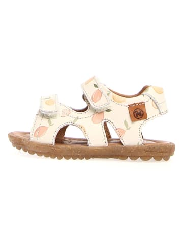 Naturino Leder-Sandalen "Sky" in Beige