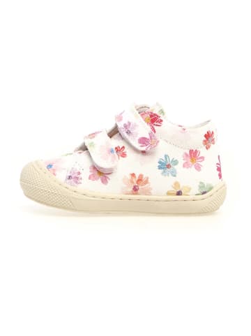 Naturino Leder-Lauflernschuhe "Cocoon" in Bunt