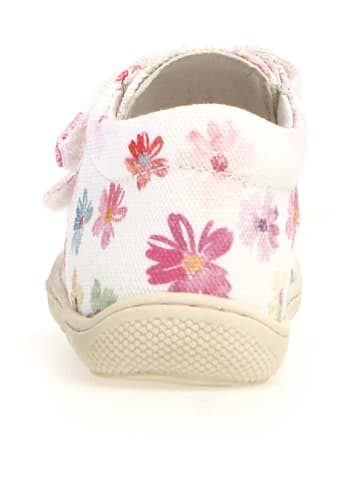 Naturino Leder-Lauflernschuhe "Cocoon" in Bunt