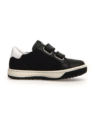 Naturino Leder-Sneakers "Rery" in Schwarz