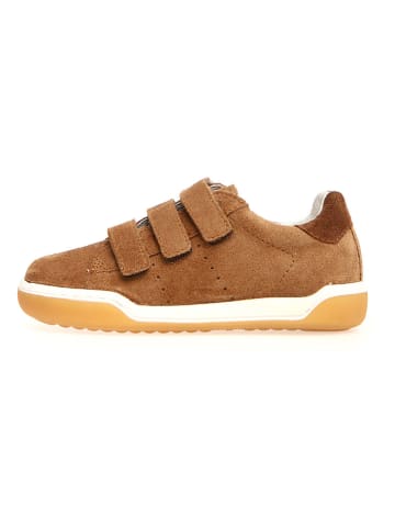 Naturino Sneakers "Cliff" in Hellbraun