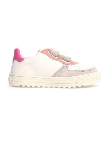 Naturino Leren sneakers "Hess" crème/roze