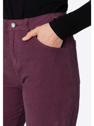 Timezone Broek "Cora" paars