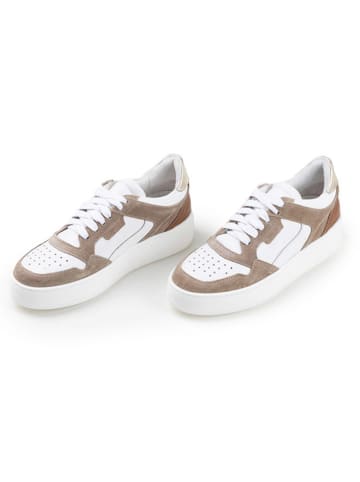 Anna Morellini Leren sneakers "Stelda" wit/bruin