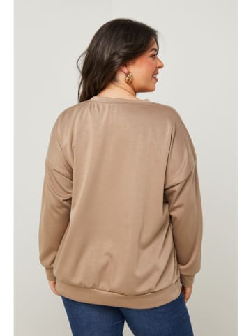 Curvy Lady Pullover in Taupe