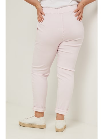 Curvy Lady Hose in Rosa