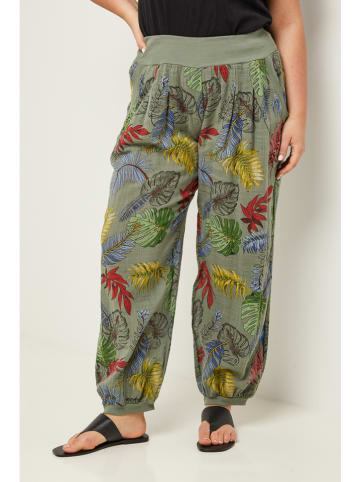 Curvy Lady Broek kaki/rood