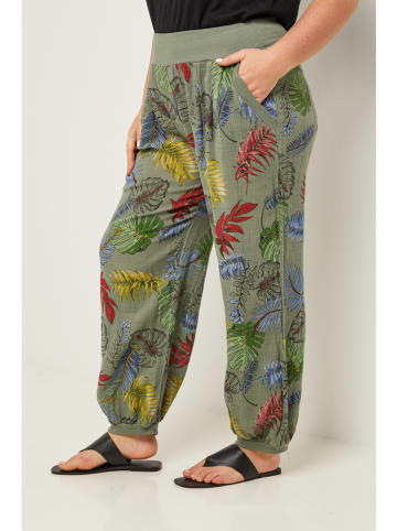 Curvy Lady Hose in Khaki/ Rot