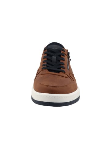 Tom Tailor Sneakers lichtbruin