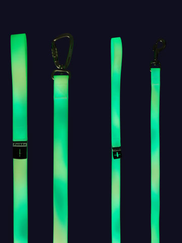 Paikka Hondenriem "Glow" lichtroze/mintgroen