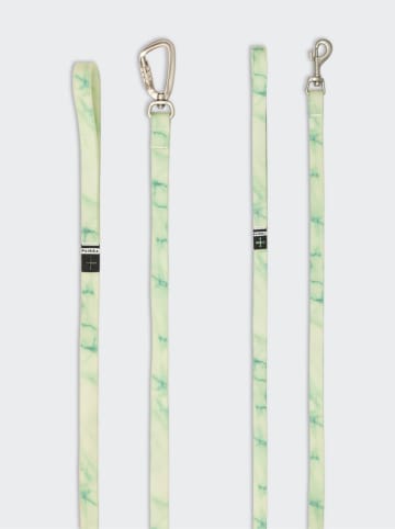 Paikka Hondenriem "Glow" groen