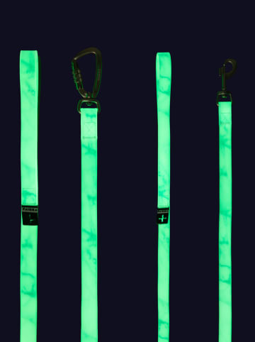 Paikka Hondenriem "Glow" groen