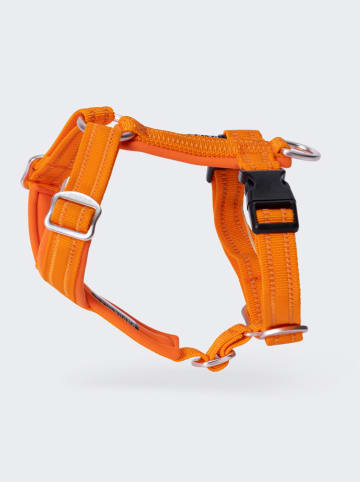 Paikka Hundegeschirr in Orange
