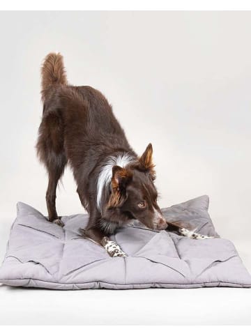 Paikka Hunde-Schnüffelteppich in Grau